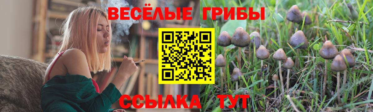 Меф МЯУ МЯУ  ГАШ  Канабис  A PVP СОЛЬ кристаллы  Вход с VPN  ГАШ  Рязань  МЕФ  